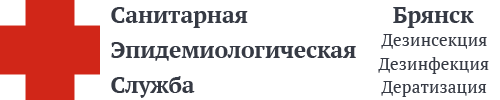 СЭС Брянска