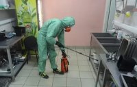 Услуги дезинсекции в Брянске